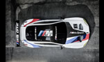 BMW M8 GTE and IMSA GTLM for 2018